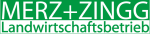 logo merzzingg